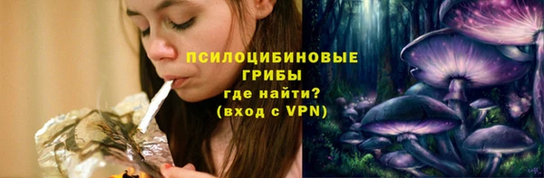 эйфоретик Богородск