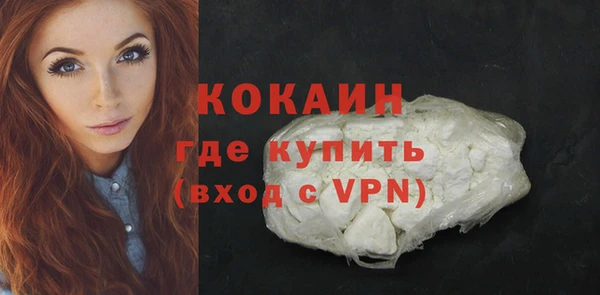 молекула духа Богородицк