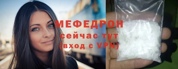 молекула духа Богородицк