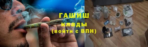 молекула духа Богородицк