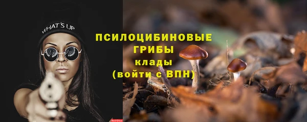 молекула духа Богородицк