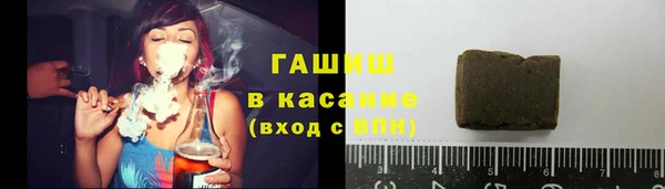 молекула духа Богородицк